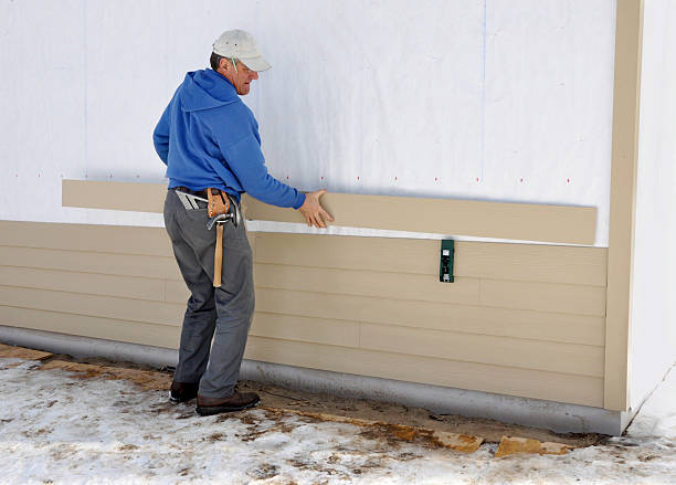 Best Stone Veneer Siding  in Donna, TX